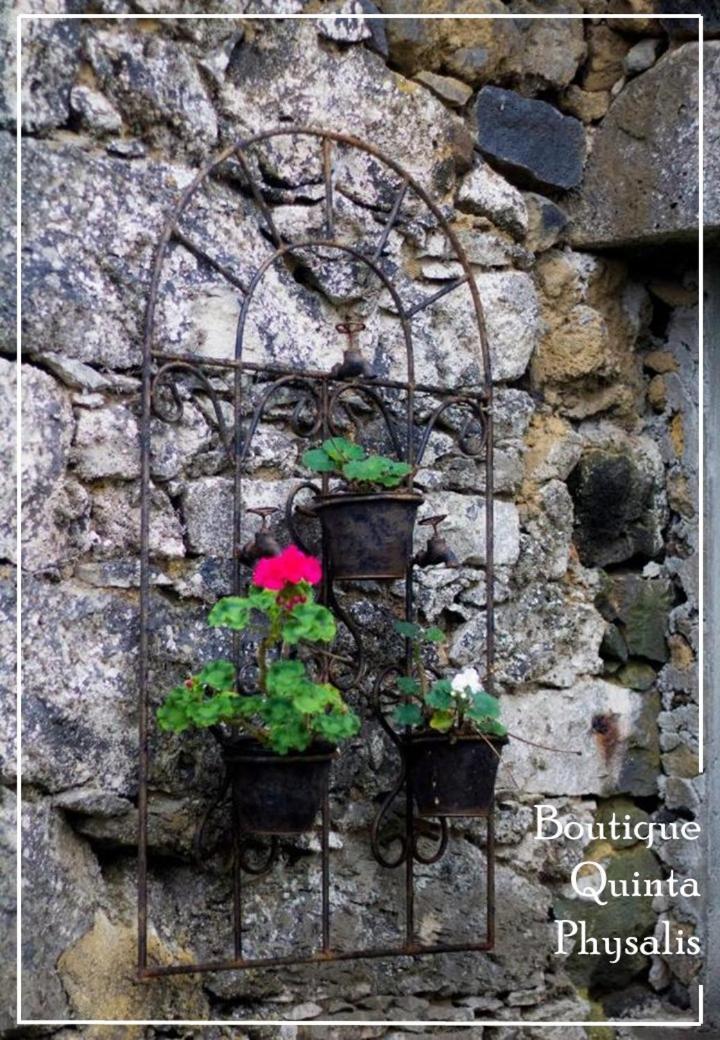 Апартаменти Boutique Quinta Physalis Fenais da Luz Екстер'єр фото